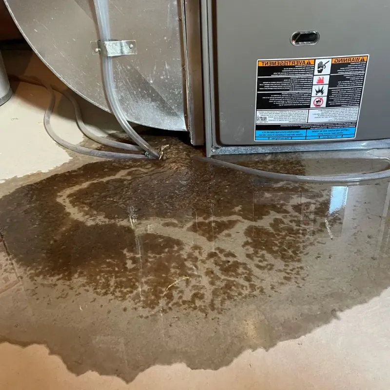 Pipe Burst and Leak Restoration in Lackawanna, NY