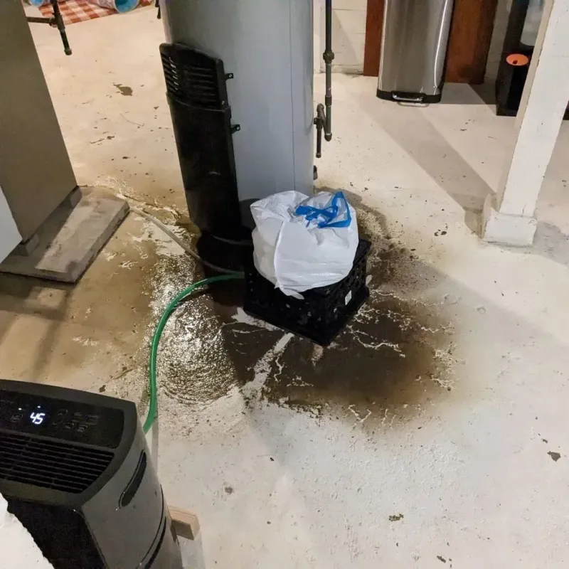 Sewage Backup Cleanup Service in Lackawanna, NY